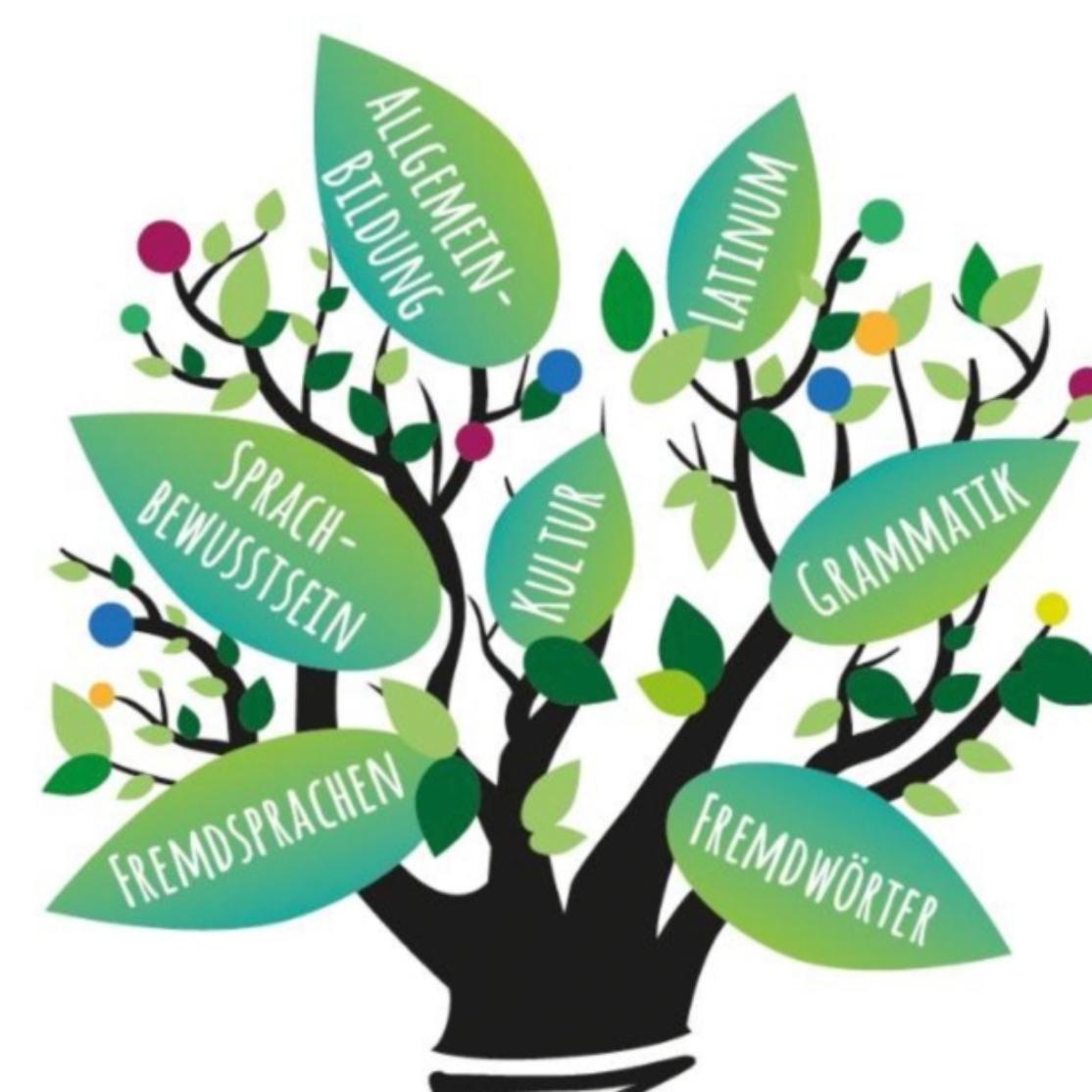 Herzliche Einladung zum Latein-Schnupperunterricht!