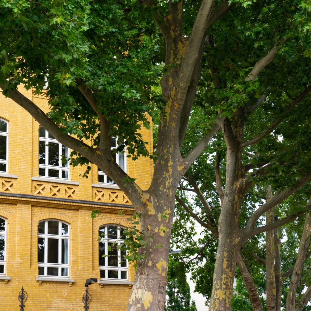 3. Plätze beim Wettbewerb der Bundeszentrale für politische Bildung