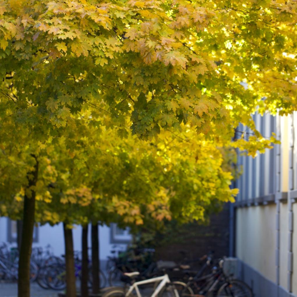Erreichbarkeit während der Osterferien