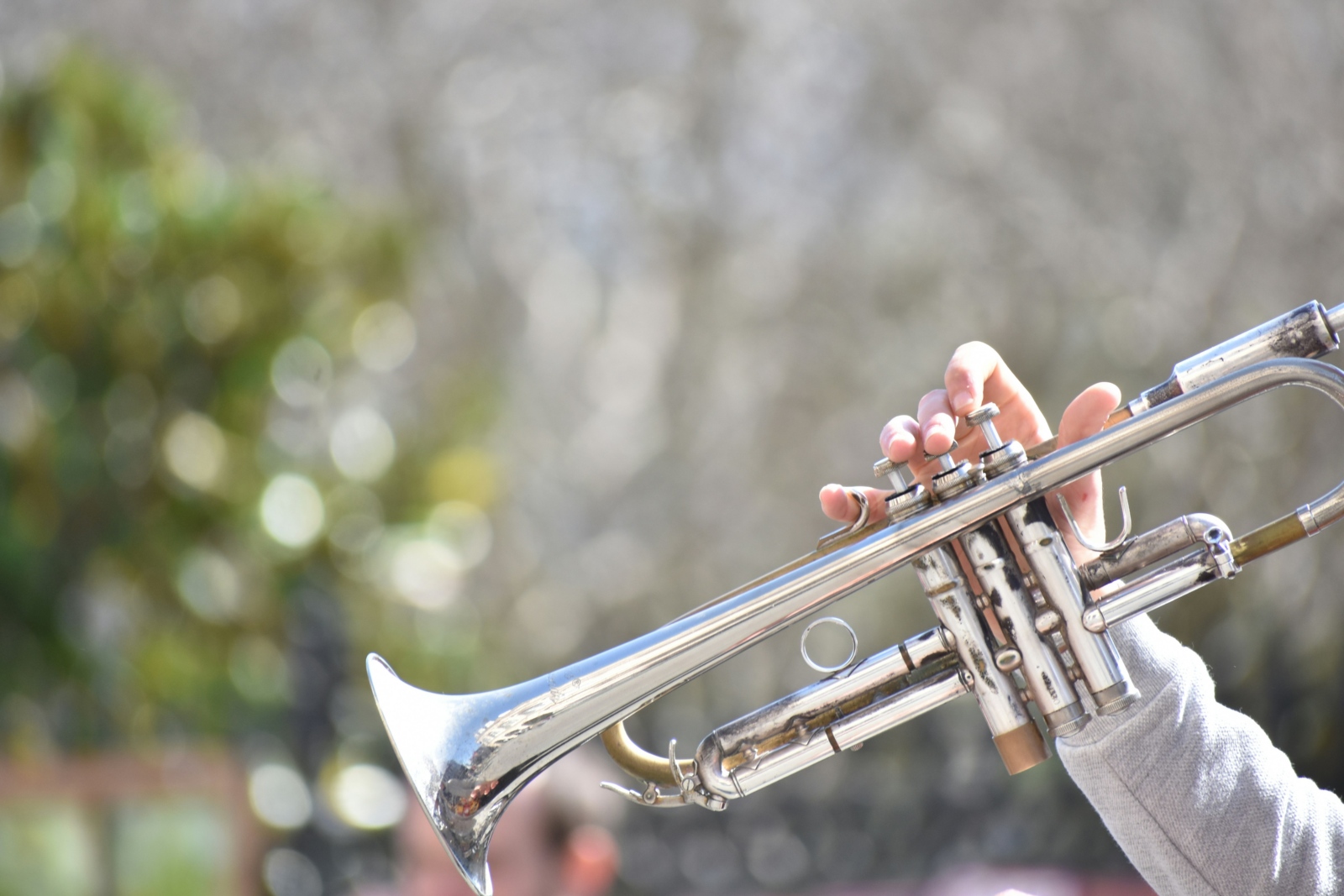 Bild_instrument-Homepage