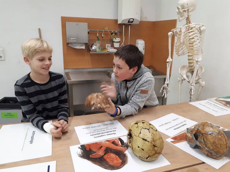 Exkursion in das Neanderthal-Museum: Zurück in die Vergangenheit