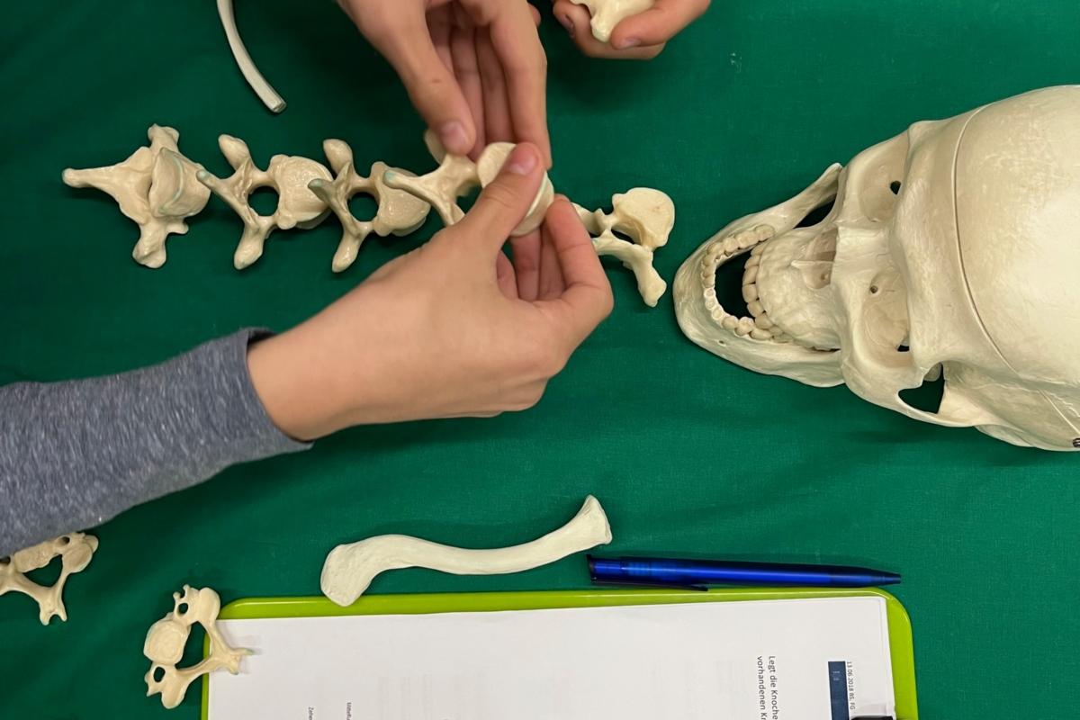 Workshop Kriminalbiologie im Neandertal