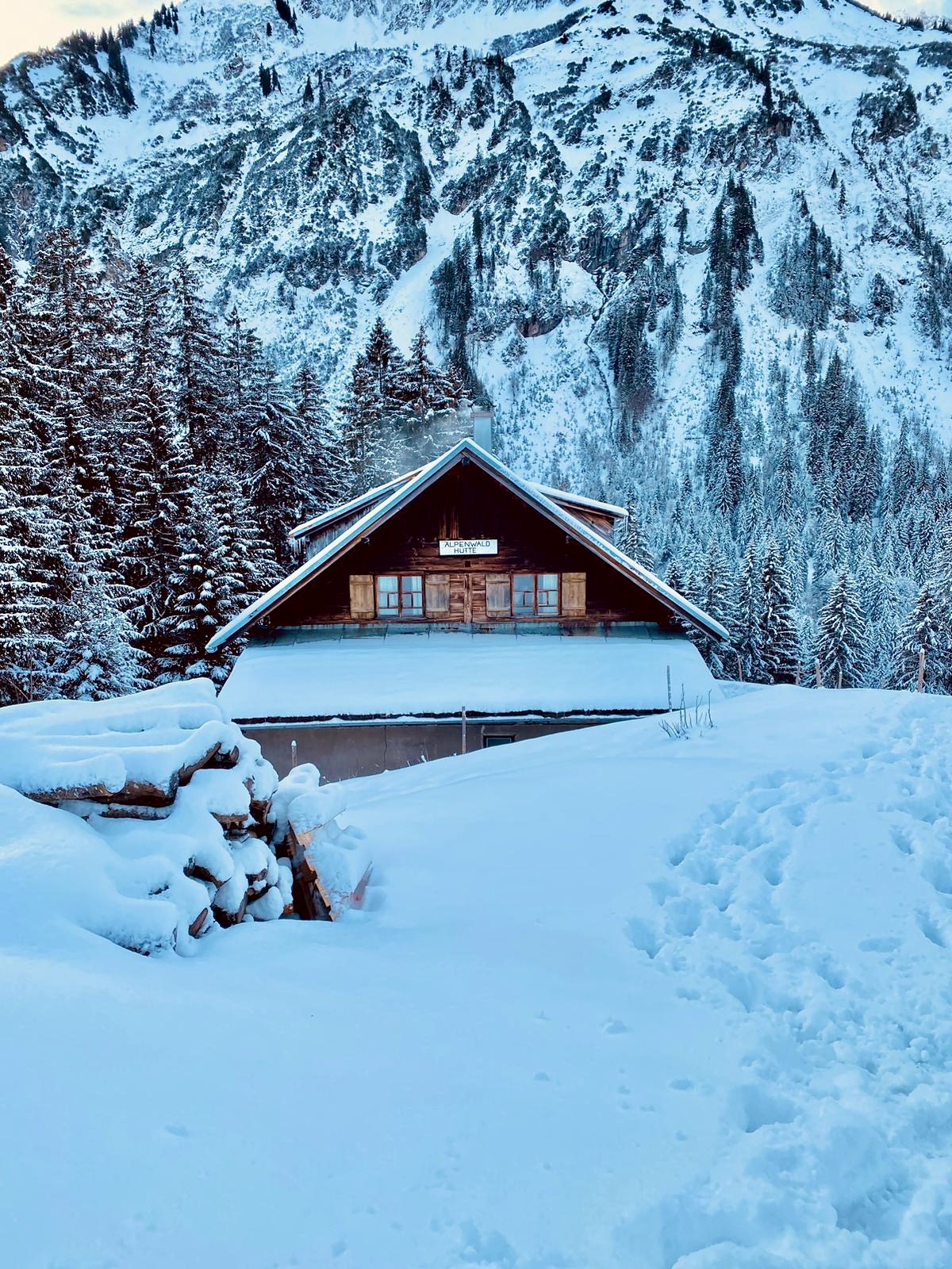 Die Alpenwaldhütte