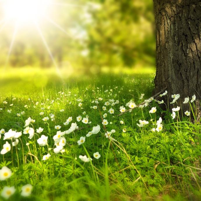 Schöne Sommerferien!