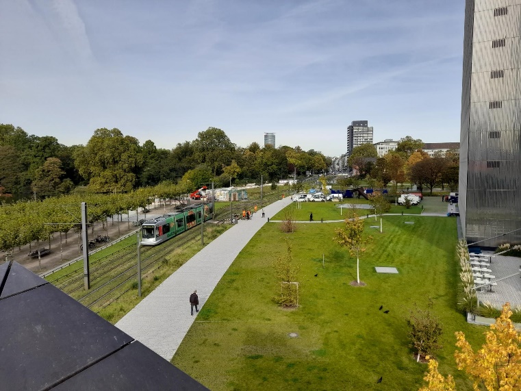 Stadtbegrünung an der Schadowstraße